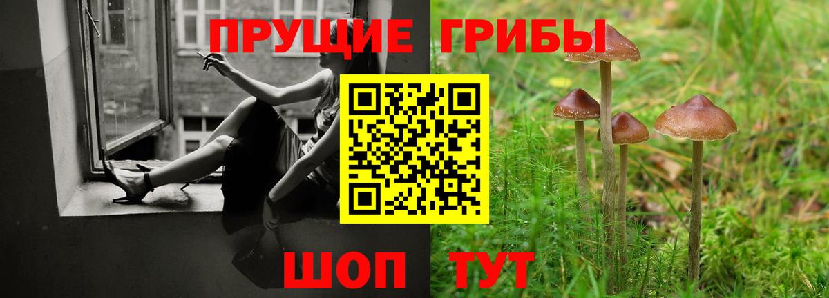 Боровичи  Галлюциногенные грибы Psilocybe  Вход с VPN 
